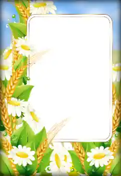 Foto-effetti della categoria Cornici da donna № 179526