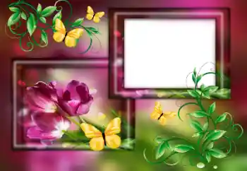 Foto-effetti della categoria Cornici da donna № 179563