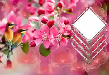 Foto-effetti della categoria Cornici da donna № 179565