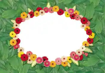 Foto-effetti della categoria Cornici da donna № 180695