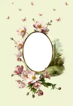 Foto-effetti della categoria Cornici da donna № 180747