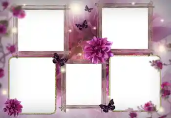 Foto-effetti della categoria Cornici da donna № 180757