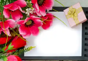 Foto-effetti della categoria Cornici da donna № 180815