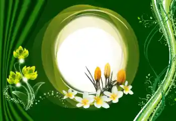 Foto-effetti della categoria Cornici da donna № 180910