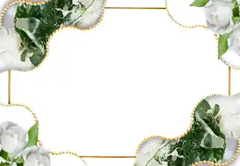 Foto-effetti della categoria Cornici da donna № 18185