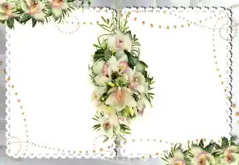 Foto-effetti della categoria Cornici da donna № 18187 Foto-effetti della categoria Cornici da donna № 18187