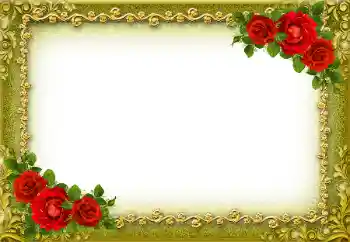 Foto-effetti della categoria Cornici da donna № 181928