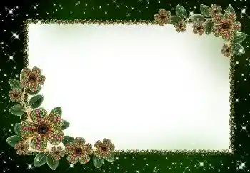 Foto-effetti della categoria Cornici da donna № 181929