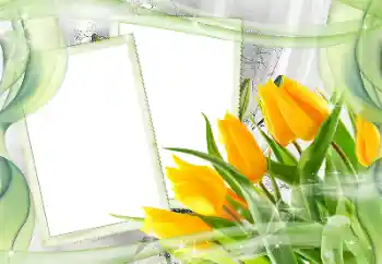 Foto-effetti della categoria Cornici da donna № 181968