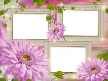 Foto-effetti della categoria Cornici da donna № 181986