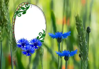 Foto-effetti della categoria Cornici da donna № 181991