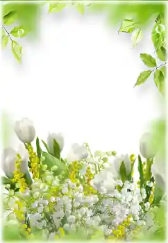 Foto-effetti della categoria Cornici da donna № 182024