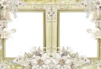 Foto-effetti della categoria Cornici da donna № 182139