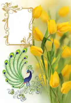 Foto-effetti della categoria Cornici da donna № 182161