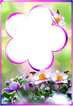 Foto-effetti della categoria Cornici da donna № 183360