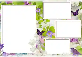 Foto-effetti della categoria Cornici da donna № 183388