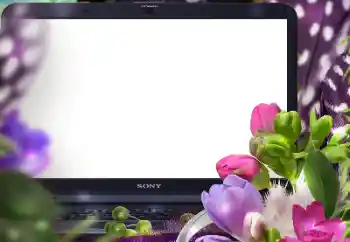 Foto-effetti della categoria Cornici da donna № 183389