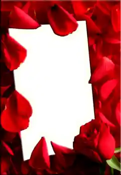 Foto-effetti della categoria Cornici da donna № 1843