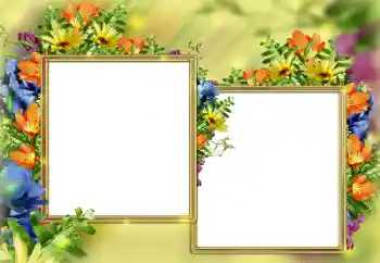 Foto-effetti della categoria Cornici da donna № 184579