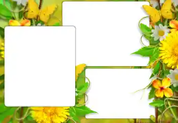 Foto-effetti della categoria Cornici da donna № 184587