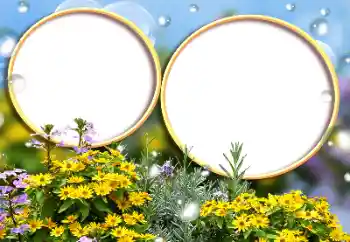 Foto-effetti della categoria Cornici da donna № 184588