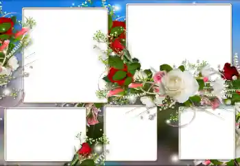 Foto-effetti della categoria Cornici da donna № 184590