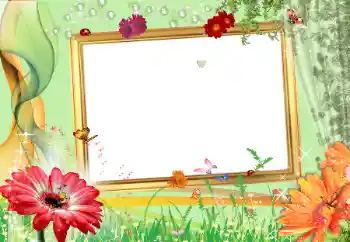 Foto-effetti della categoria Cornici da donna № 184736