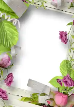 Foto-effetti della categoria Cornici da donna № 184765