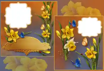 Foto-effetti della categoria Cornici da donna № 185839