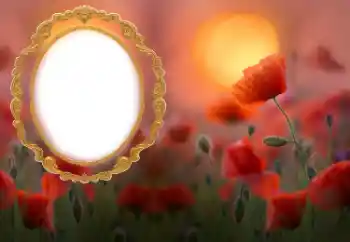 Foto-effetti della categoria Cornici da donna № 185852