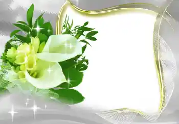 Foto-effetti della categoria Cornici da donna № 185965