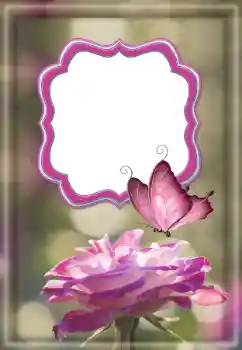 Foto-effetti della categoria Cornici da donna № 187032