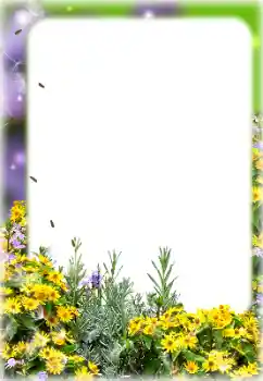 Foto-effetti della categoria Cornici da donna № 187069