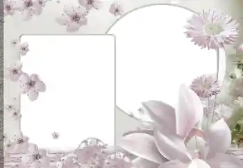 Foto-effetti della categoria Cornici da donna № 188139