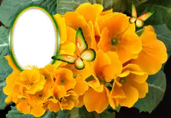 Foto-effetti della categoria Cornici da donna № 189369