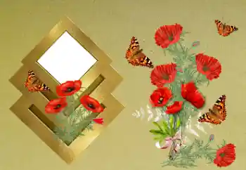 Foto-effetti della categoria Cornici da donna № 189371