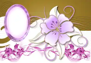 Foto-effetti della categoria Cornici da donna № 189401