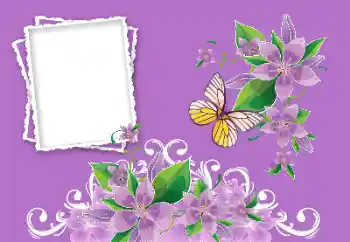 Foto-effetti della categoria Cornici da donna № 190479