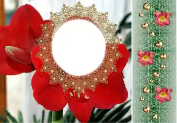 Foto-effetti della categoria Cornici da donna № 190480