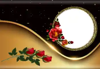 Foto-effetti della categoria Cornici da donna № 190527