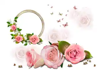 Foto-effetti della categoria Cornici da donna № 190616