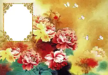 Foto-effetti della categoria Cornici da donna № 190617