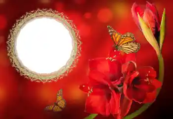 Foto-effetti della categoria Cornici da donna № 191699