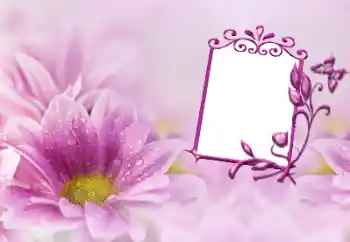 Foto-effetti della categoria Cornici da donna № 191747