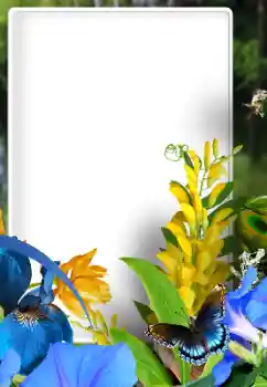 Foto-effetti della categoria Cornici da donna № 192828