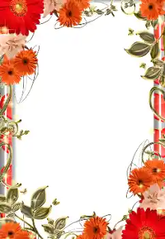 Foto-effetti della categoria Cornici da donna № 192833