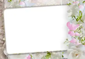 Foto-effetti della categoria Cornici da donna № 192942