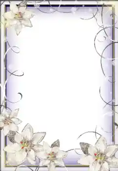 Foto-effetti della categoria Cornici da donna № 192952