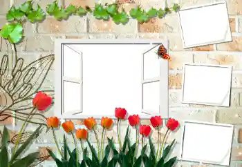 Foto-effetti della categoria Cornici da donna № 194188