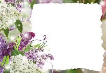 Foto-effetti della categoria Cornici da donna № 194234